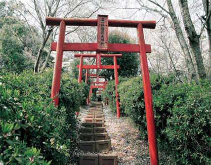 山田古墳写真