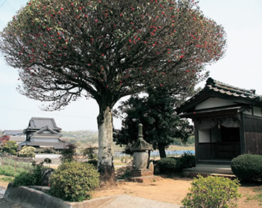 野間の宝塔